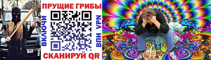 дарнет шоп mega маркетплейс Псилоцибиновые грибы GOLDEN TEACHER Валуйки