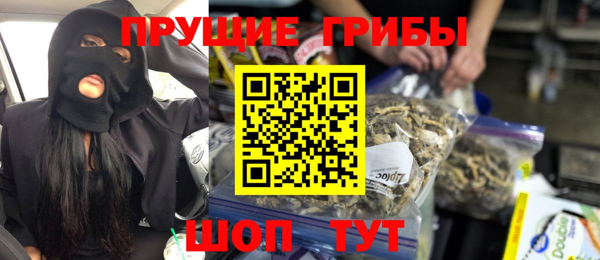 Галлюциногенные грибы GOLDEN TEACHER Валуйки